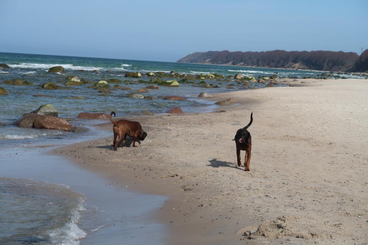 Fewowiek39 Wiek auf Rügen エクステリア 写真